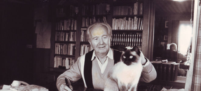 Краткая биография мерль