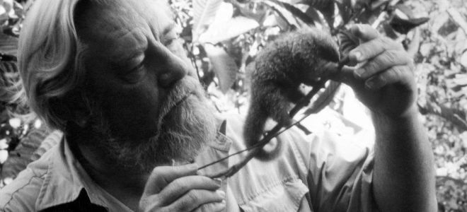 Краткая биография даррелл