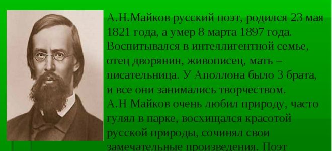 Краткая биография майков