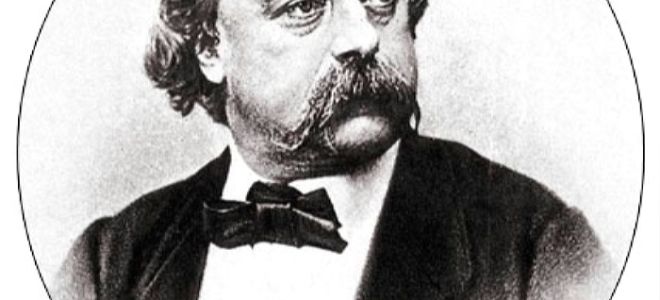 Краткая биография флобер