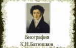 Краткая биография другой автор