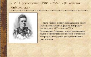 Краткая биография войнич