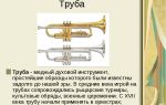 Краткая биография труа