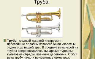 Краткая биография труа
