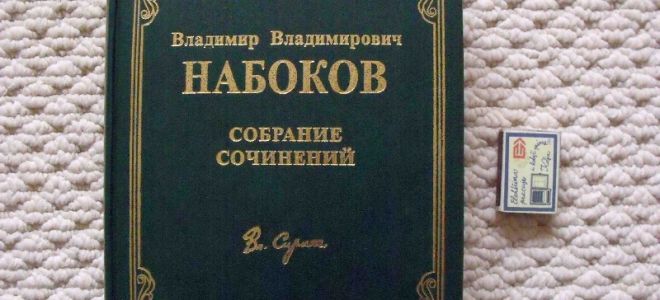 Сочинения об авторе набоков