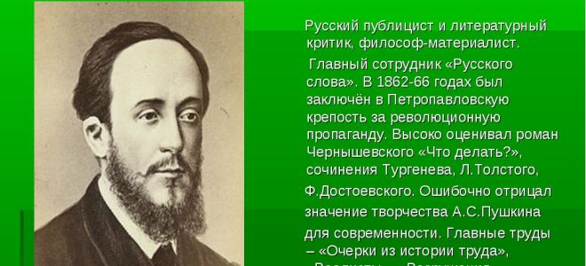 Краткая биография писарев