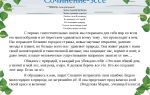 Сочинения об авторе эко