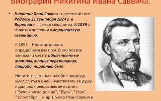 Краткая биография никитин