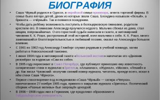 Краткая биография черный саша