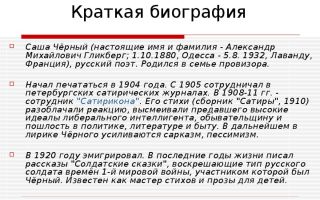 Краткая биография шаша