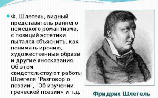 Краткая биография шлегель