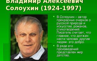 Краткая биография солоухин