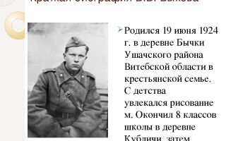 Краткая биография быков