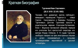 Краткая биография во