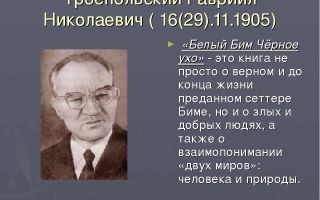 Сочинения об авторе токарева