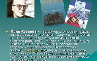Сочинения об авторе казаков