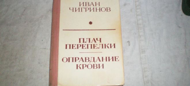 Краткая биография чигринов