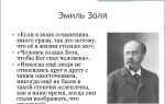 Краткая биография золя