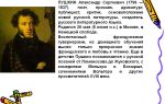 Краткая биография пу