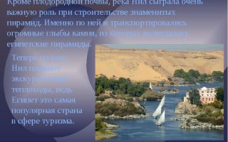 Краткая биография о'нил
