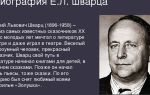 Краткая биография шварц
