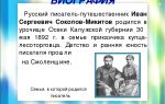 Краткая биография соколов