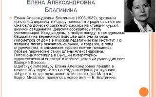 Краткая биография благинина
