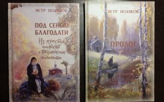 Сочинения об авторе поляков