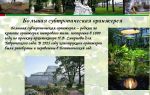 Краткая биография сад