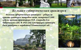 Краткая биография сад