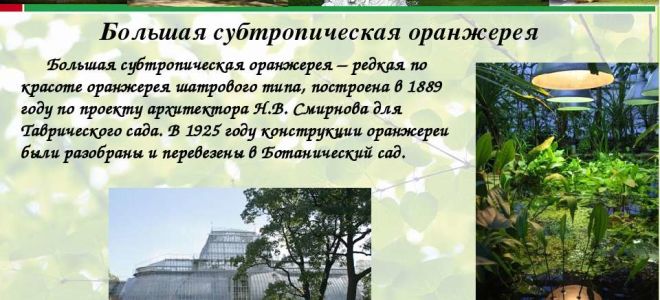 Краткая биография сад