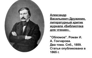 Краткая биография дружинин
