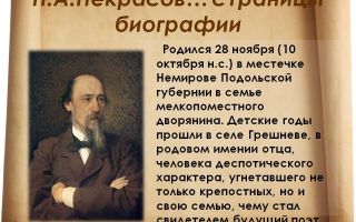 Краткая биография некрасов н. а.