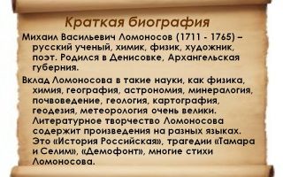 Краткая биография ломоносов