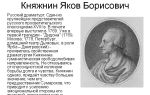 Краткая биография княжнин