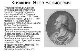 Краткая биография княжнин