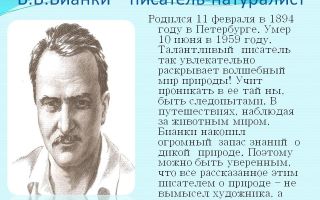 Краткая биография бианки