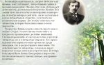 Сочинения об авторе бунин