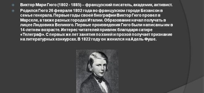 Краткая биография гюго