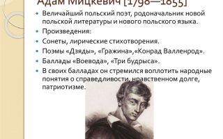 Краткая биография мицкевич