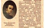 Краткая биография шевченко