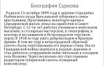 Краткая биография сурков