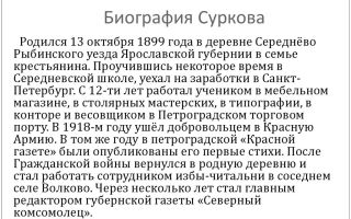 Краткая биография сурков