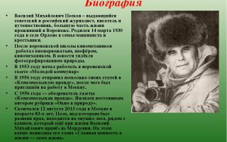 Краткая биография песков