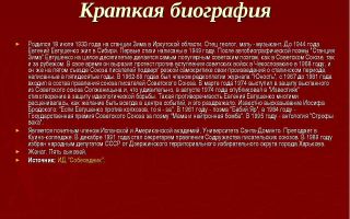 Краткая биография светлый