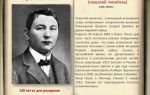 Краткая биография гашека