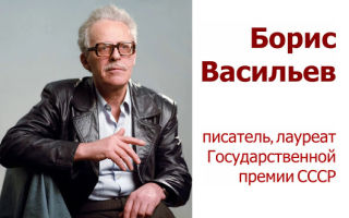 Краткая биография васильев