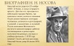 Краткая биография носов н. н.