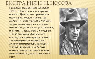 Краткая биография носов н. н.