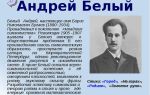 Краткая биография белый